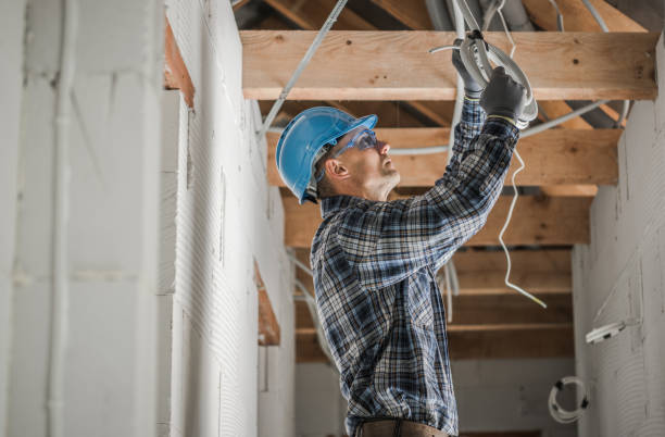 Best Electrical Wiring Services  in Livonia, MI