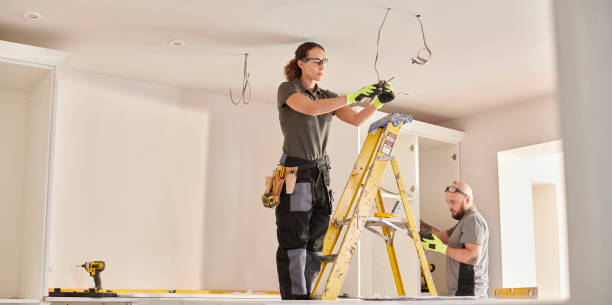 Best Electrical Rewiring Services  in Livonia, MI