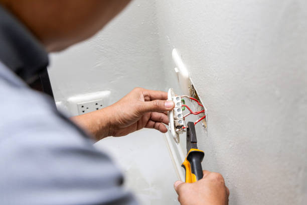 Best Electrician Near Me  in Livonia, MI