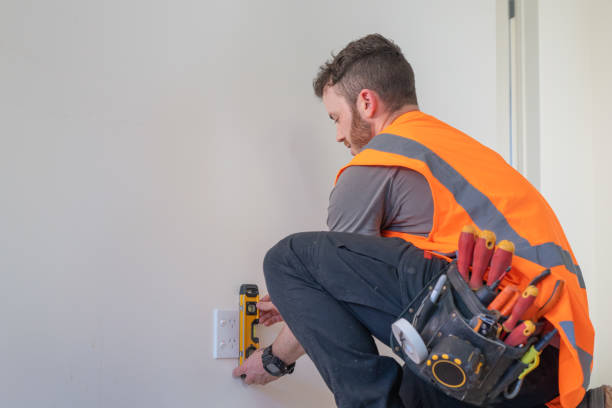 Best Electric Panel Repair  in Livonia, MI